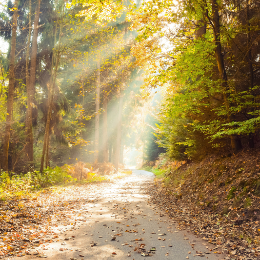 Psychodynamic Therapy Explained: Improve Relationships and Mental Well-Being